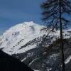 Tuxské Alpy 2010